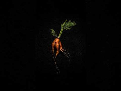 SoulFood Running Carrot by Adrian Kuipers (Wooden Framed)